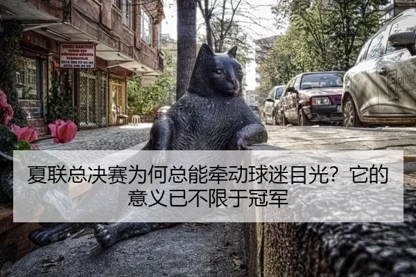 夏联总决赛为何总能牵动球迷目光？它的意义已不限于冠军